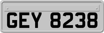 GEY8238