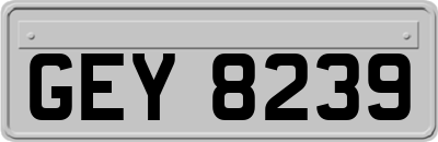GEY8239