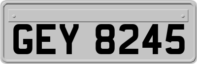 GEY8245