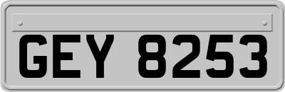 GEY8253