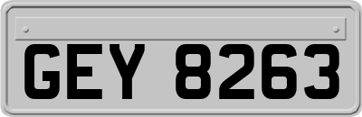 GEY8263