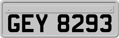 GEY8293