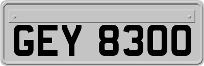 GEY8300