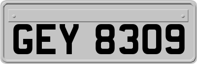 GEY8309