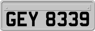 GEY8339