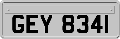 GEY8341
