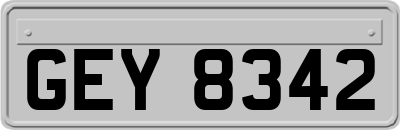 GEY8342