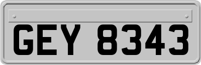 GEY8343