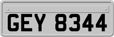 GEY8344