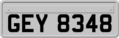 GEY8348