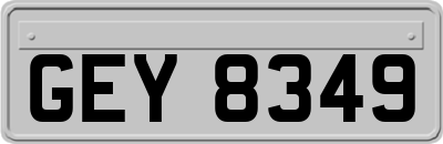 GEY8349