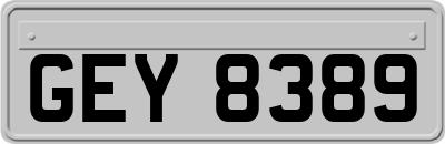 GEY8389