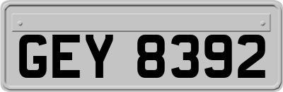 GEY8392