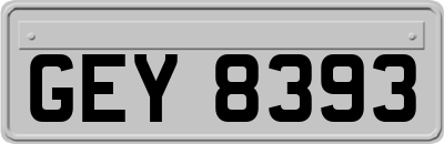 GEY8393