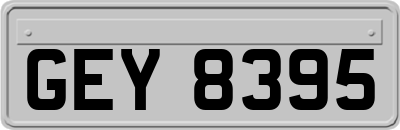 GEY8395