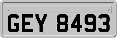 GEY8493