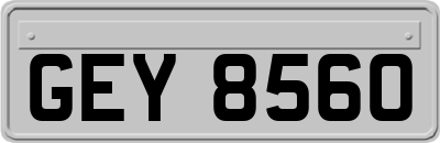 GEY8560