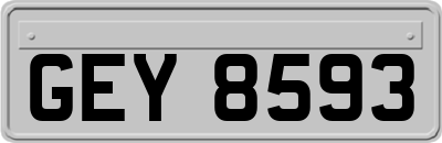 GEY8593