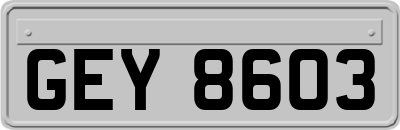 GEY8603