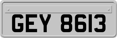 GEY8613