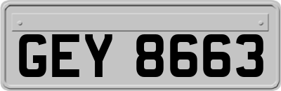 GEY8663