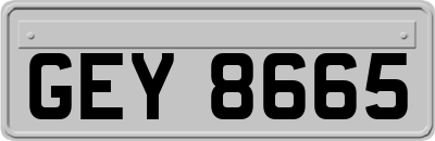 GEY8665