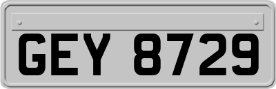 GEY8729