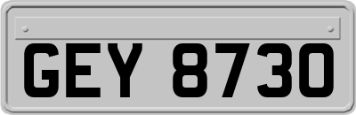 GEY8730