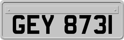 GEY8731