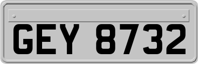 GEY8732