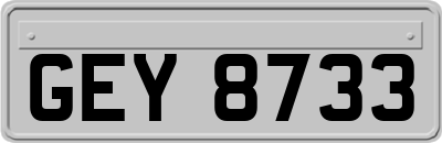 GEY8733