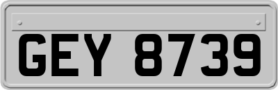 GEY8739