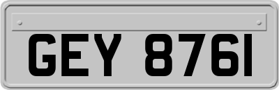 GEY8761