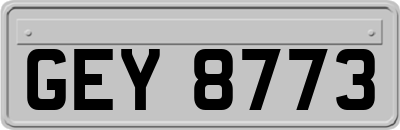 GEY8773