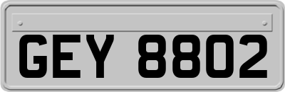 GEY8802