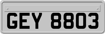 GEY8803