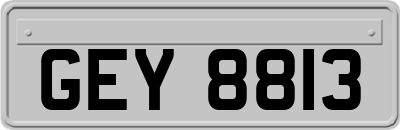 GEY8813