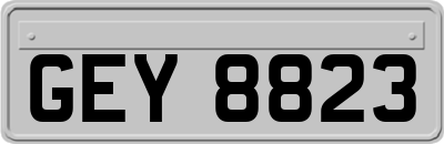 GEY8823