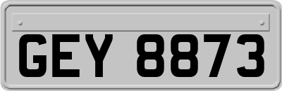 GEY8873