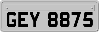 GEY8875