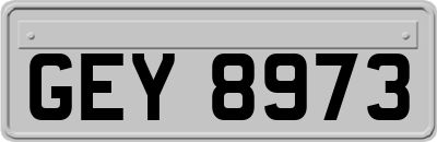 GEY8973