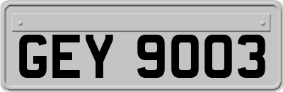 GEY9003