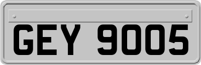 GEY9005