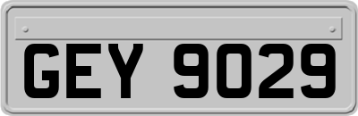 GEY9029