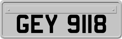 GEY9118
