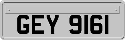 GEY9161