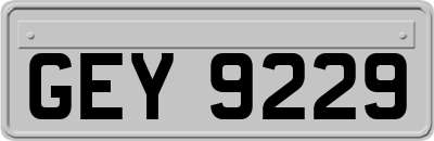 GEY9229