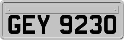 GEY9230