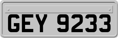 GEY9233