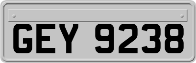 GEY9238